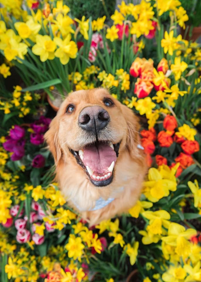 118775378_967468573753745_8734422833723206543_n