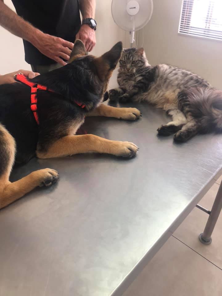 131930668_1052977965202805_7072824217804193508_n