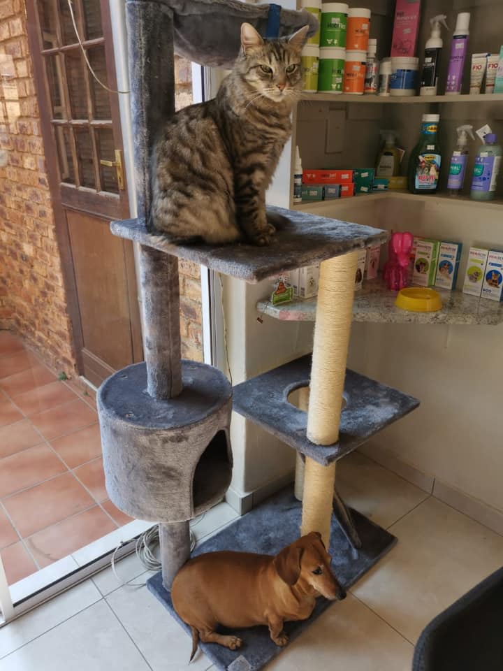 67817057_676475426186396_3993053398856368128_n