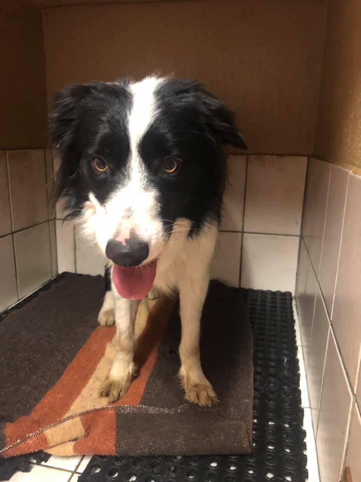 79458884_770003313500273_8819316511672893440_n