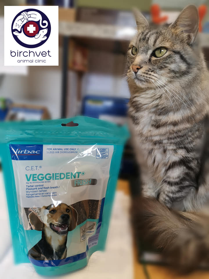 89686847_843079679525969_5667403170356133888_n